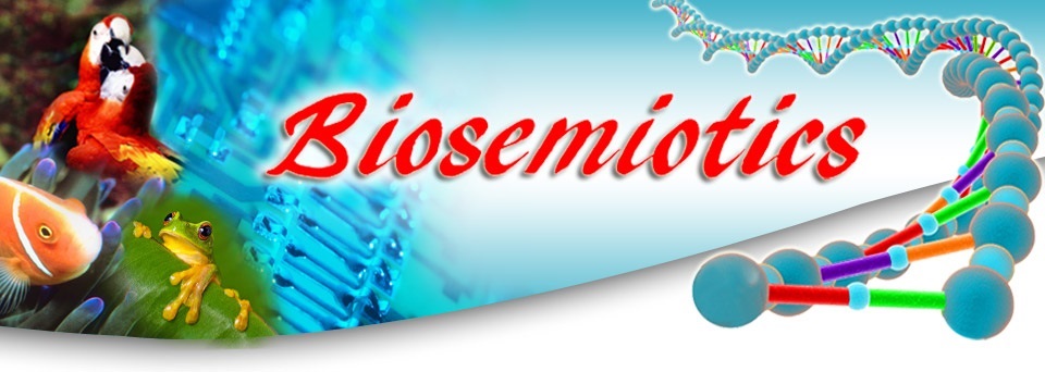 Biosemiotics - How the San Jiao Organ Allows Food to Communicate Internal and External Information - Graphic from www.biosemiotica.it